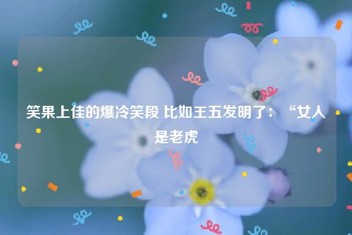 笑果上佳的爆冷笑段 比如王五发明了：“女人是老虎