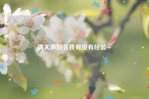 请大声回答我有没有经验~