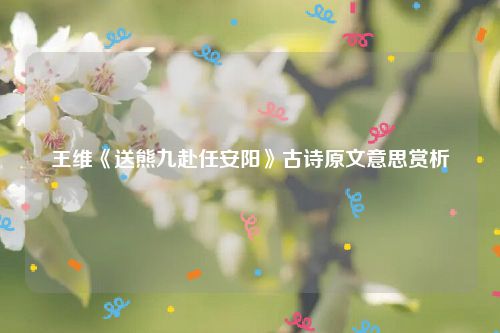 王维《送熊九赴任安阳》古诗原文意思赏析