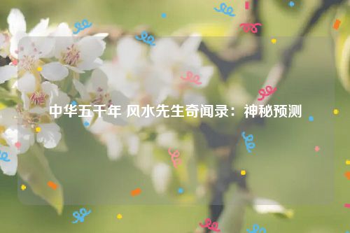 中华五千年 风水先生奇闻录：神秘预测