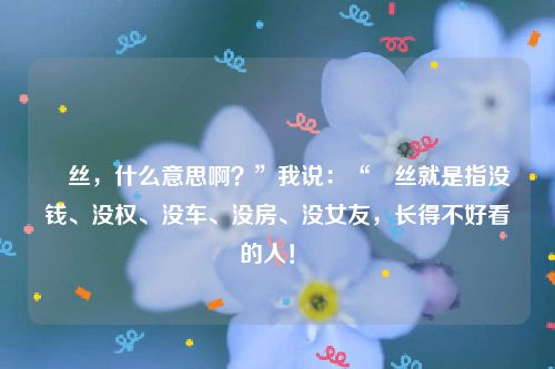 屌丝，什么意思啊？”我说：“屌丝就是指没钱、没权、没车、没房、没女友，长得不好看的人！ 