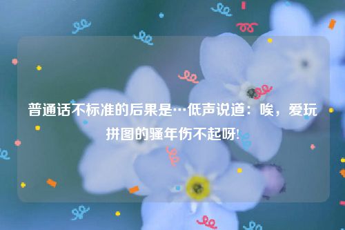 普通话不标准的后果是…低声说道：唉，爱玩拼图的骚年伤不起呀!